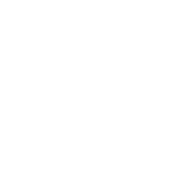 Chat Icon